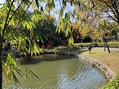 -晓港公园