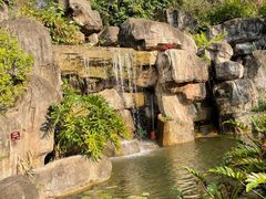 -广州神农草堂中医药博物馆