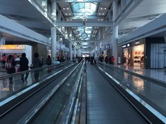 -乐天免税店(仁川国际机场店)