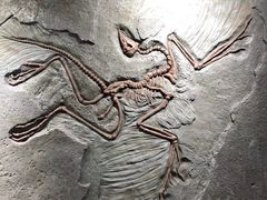 -三夫户外(天钥桥路店)