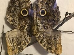 -陕西自然博物馆