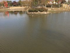 -董永七仙女文化园