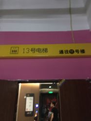 -恐龙探索乐园(磁器口店)