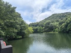 -白马涧龙池景区