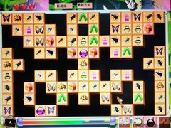 -上海昆虫博物馆