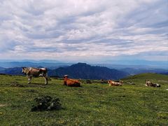 -灵山