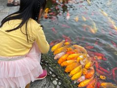 -成飞公园