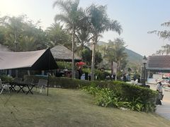 -艺厨风尚餐厅 · 桔钓沙莱华度假酒店