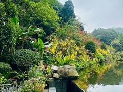 -深圳仙湖植物园