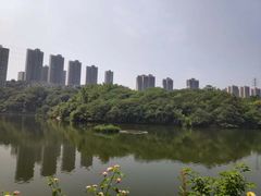 -重庆彩云湖湿地公园
