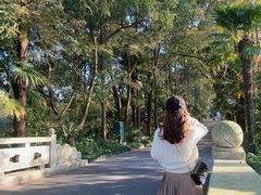 -同里国家湿地公园