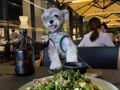 -Ameigo梅果·云贵川bistro(长宁来福士店)