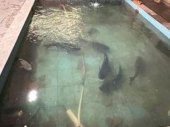 -桃园美食(水库路店)