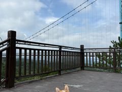 -龙里油画大草原旅游区