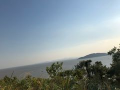 -花竹村