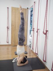 -Y+U遇瑜伽·普拉提