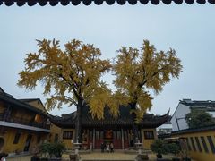 -鱼食饭稻·苏浙土菜17年老馆子(平江路店)