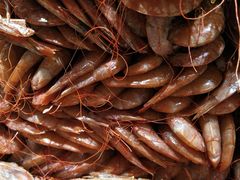 -一号桥自助火锅城(揽秀园西街店)