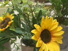 -野人先生现做冰淇淋(贵阳万象汇店)