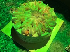 -开乐迪KTV(石桥店)