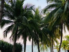 -三亚南山文化旅游区