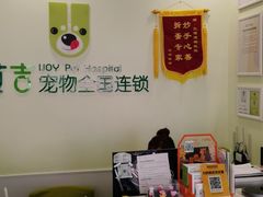 -艾吉宠物医院·疑难杂症转诊中心·猫友好(碧江路院)