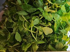 -金鼎雪山牦牛杂火锅(理县总店)