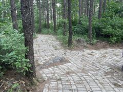 -白草畔自然风景区