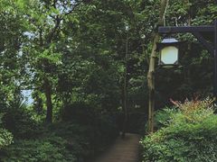 -成都市活水公园