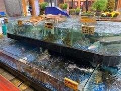 水产区-大门水乡·顺德菜