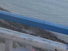 -北港方记海鲜楼·海景餐厅