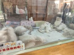 -中粮·祥云小镇