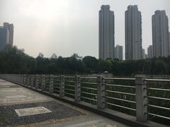 -后襄河公园