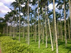 -红色娘子军纪念园