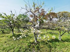 -梁鸿国家湿地公园