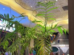 -哈啾嗨·新概念蒙餐(红星新城店)