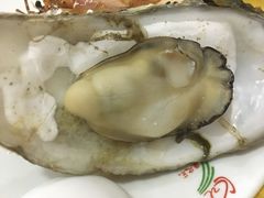 -蚝专家(北滘店)