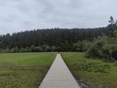 -普达措国家公园