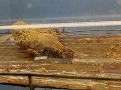 -德盛炸鸡腿(大沽南路店)