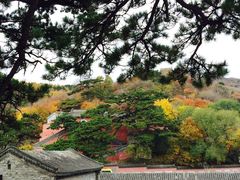 -妙峰山风景名胜区