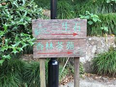 -杭州西湖风景名胜区-三生石