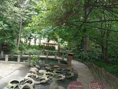 -成都市活水公园