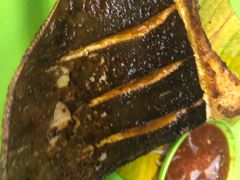 -明记烧鱼美味店