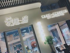 -瞄一喵猫咖(格力海岸店)