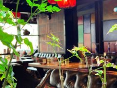 -望京一号·重庆江湖菜(工体店)