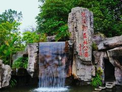-广州市流溪河国家森林公园