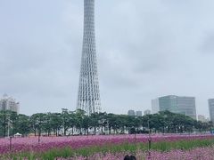 -海心沙亚运公园