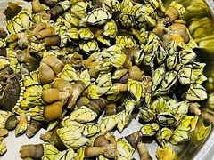 -新享乐海鲜(翠华路店)