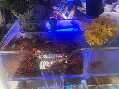 -加餐海鲜自助(宝龙一城店)