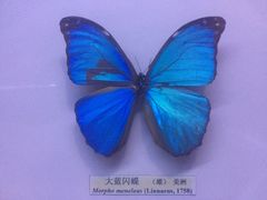 -吉林省自然博物馆